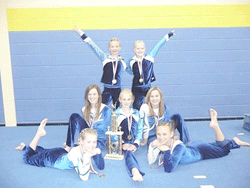 Gymnasts earn state honors 