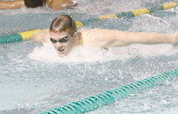 Wildcats' wild swim week caps off perfect NSC season so far 