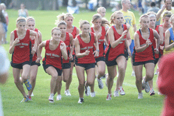 Lead photo