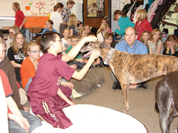 Students' social service project is supporting local rescue of discarded race dogs 