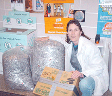 North Branch city council unable to help resident looking for aid to repair sewer, budget measures include early severance