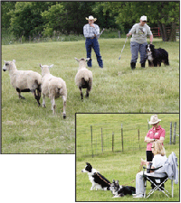 Herding dog lovers and competitors, call Chisago home