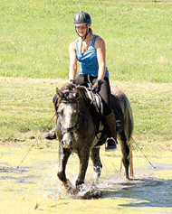 Sunborn trainer takes on four-legged challenge with Hooved Animal Rescue