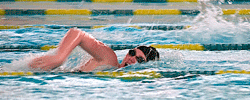 'Cats drop two NSC meets in a row