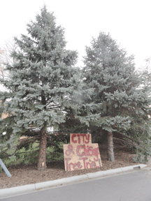 Residents attend city council meeting questioning Chisago City's policy on tree trimming 