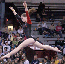 Gymnasts earn their stripes at state tournament