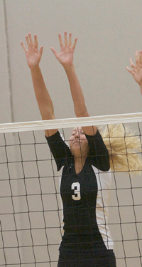 'Cats sweep Heights