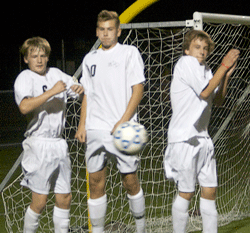 Wildcats knocked out in semi-finals