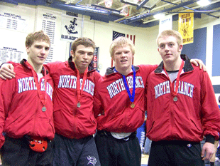 11 county wrestlers heading to state tourney