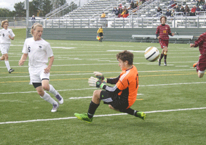 Wildcats fall in section finals