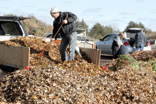 Compost dump stays busy