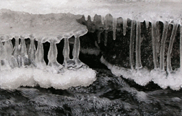 Lead photo