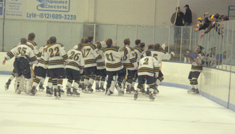 Chisago Lakes boys hockey falls twice at state