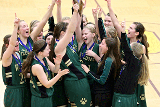 Wildcats earn state tourney berth, fall to Marshall in first round