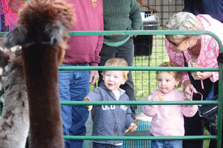Kids enjoying themselves at Apple Fest