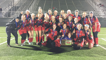 North Branch girls soccer punches ticket to state with big upset of Princeton