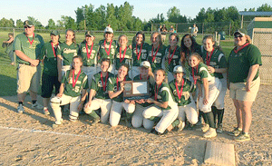 Hawks walk off on Chisago Lakes for state tourney berth