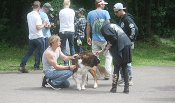 Film crew finds log home builder's parcel picture-perfect
