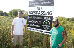 Minnesota's industrial hemp research and development program developing roots at organic farmstead here