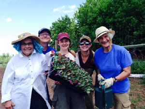 North Circle Food Hub delivering harvest near you