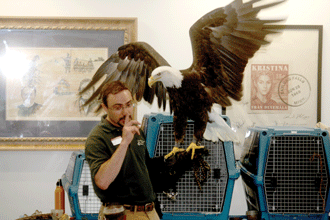 Raptor Center gives local kids a heck of a show