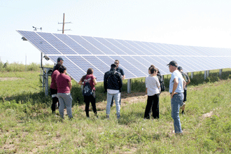 Local farmer finds solar 'crop' keeps pollinators happy