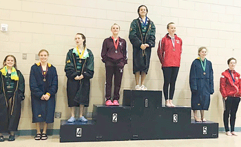 Opdahl and Stipe heading to state for Chisago Lakes diving squad
