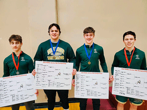 A haul of Chisago County wrestlers go to state