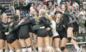 Wildcats claw their way to  state tournament in five sets