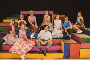 Bye Bye Birdie on stage Nov. 18-21