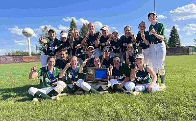 'Cats claw their way to first state tourney berth