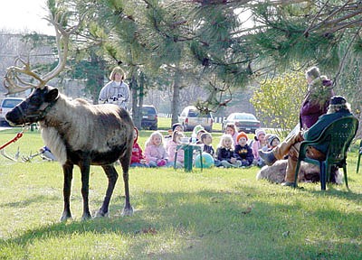 Reindeer visit Taylors Falls Elementary – do they know Santa?