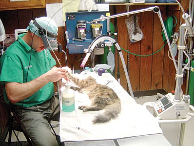 Advances in human medical care such as laser technology, very useful to veterinarian