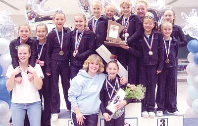 Minnesota State Gymnastic Competition-2004 Flyaways Level 6 team