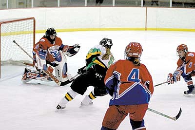 Getting a taste of hockey with a National flavor 