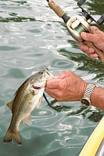 Making the most of post-spawn bass fishing