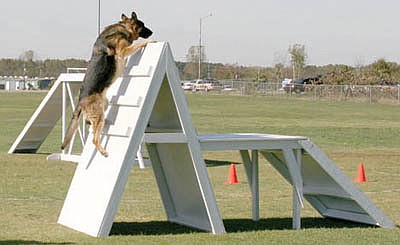 Lakes Area Police K-9 Unit scored its best ever at Regional Field Trials