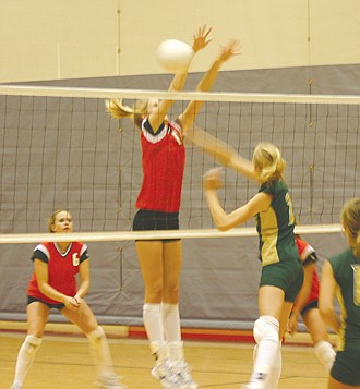 Wildcat volleyball team plays its best match of season