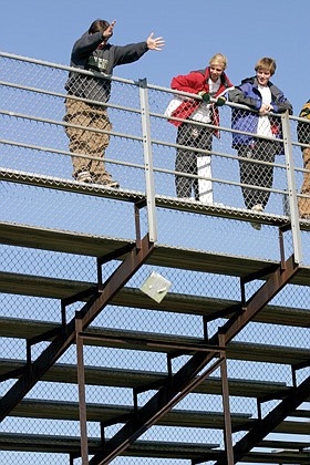 Eggs survive fall from bleachers