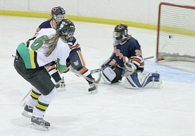 Wildcat goalies earn two shutouts