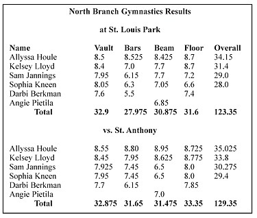 Viking gymnasts set new school record 