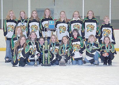 U10B Chisago Lakes girls' hockey team wins District 10 championship