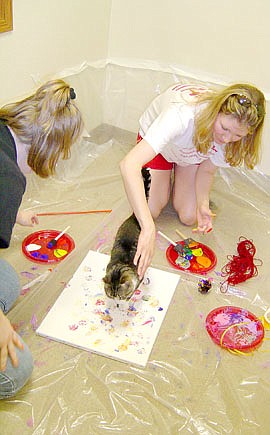 Humane Society arts event to help stressed shelter budget