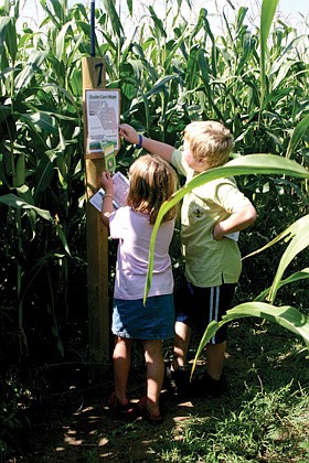 Fall activities now include corn mazes in the Chisago Lakes area 