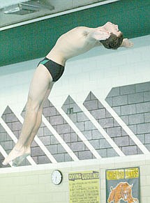 Wildcats shine at sections