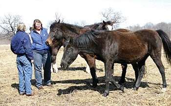 Horses provide therapy at Acres For Life