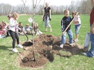 CLMS students on target to plant 3,000 trees this year