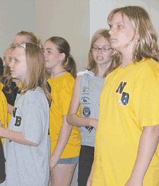 Ballfield shortage in North Branch packs city council chambers