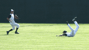 Wildcat's Trip'd up by Schultz, knocked out of section playoffs