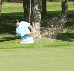 Angrimson ends CL golf career by finishing fifth at state